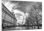 Millennium Wheel in London by Assaf Frank